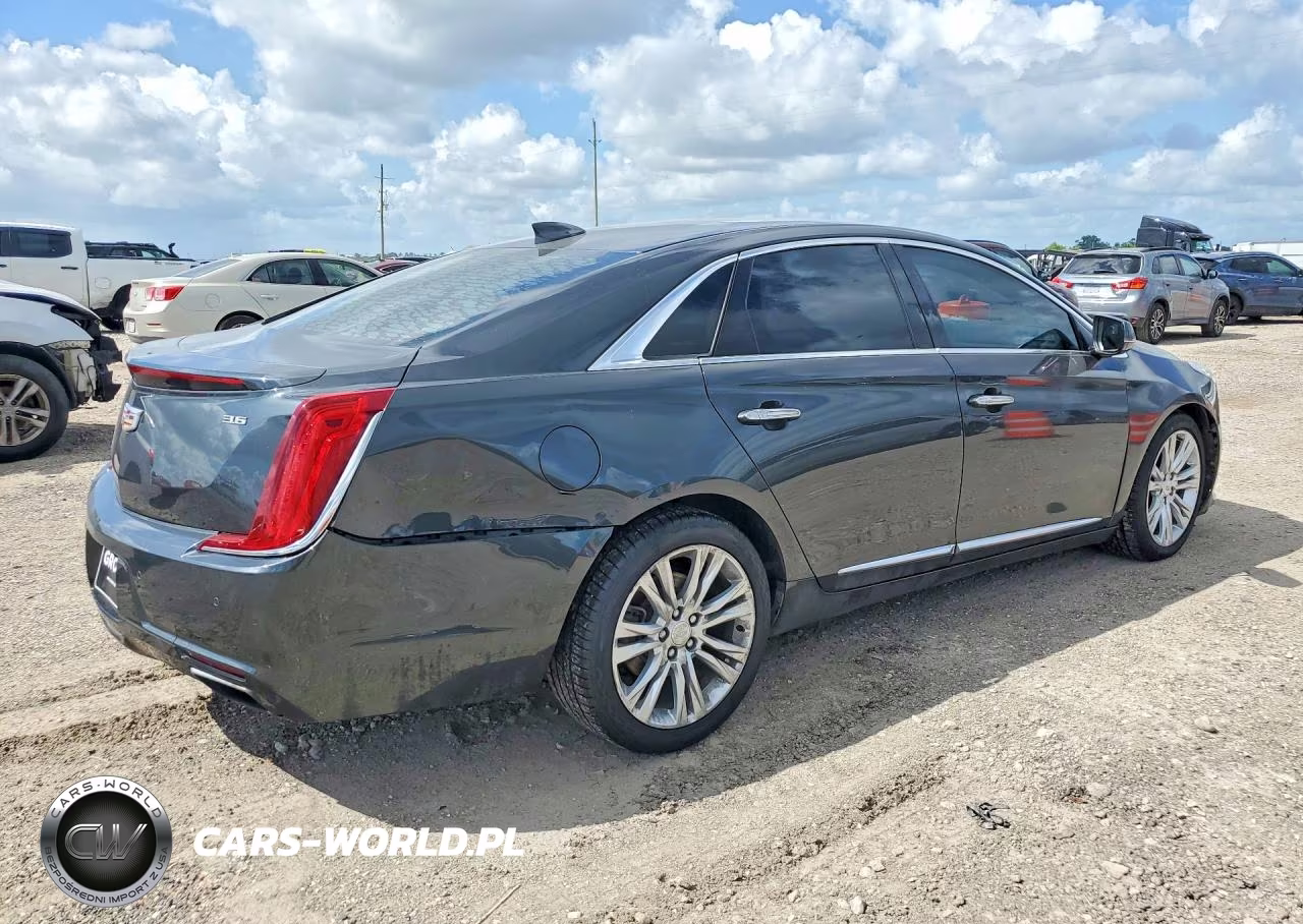 2019 Cadillac Xts Luxury VIN:2G61M5S30K9144849 - 3