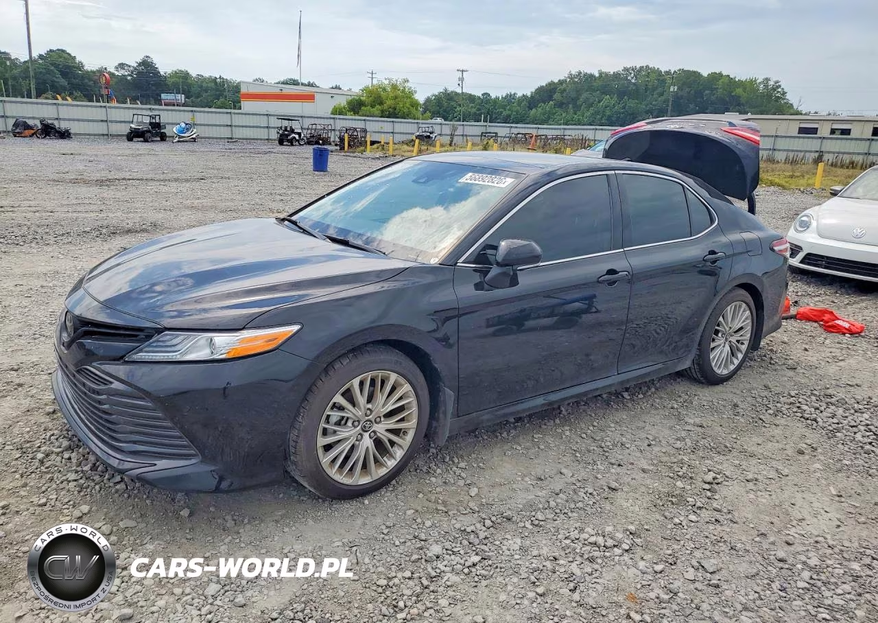 2019 Piag Camry Xle