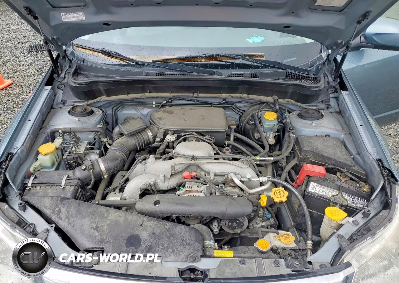 2010 Subaru Forester 2.5X Premium VIN:JF2SH6CC3AH756257 - 12