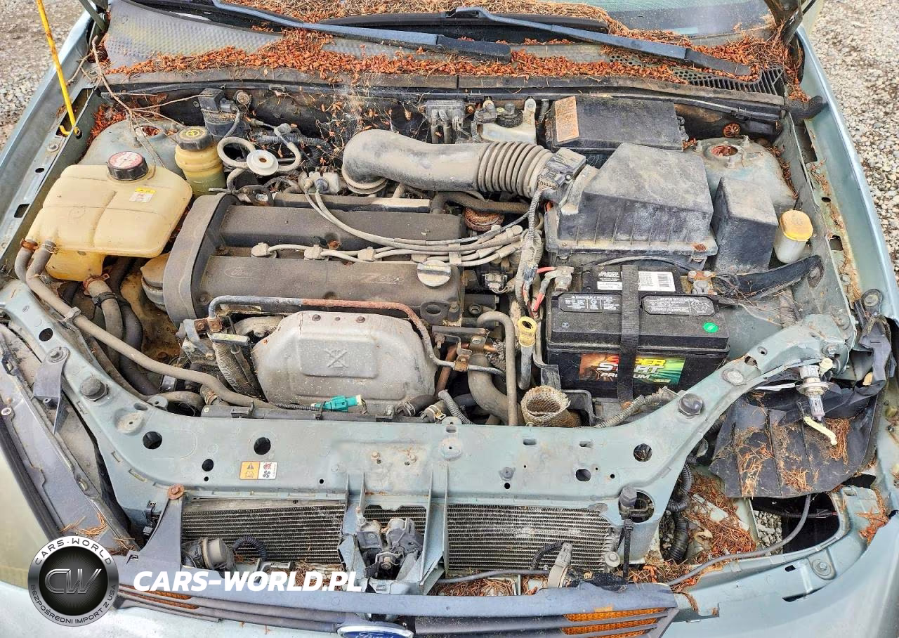 2003 Ford Focus Se Comfort VIN:1FAFP34363W113907 - 11