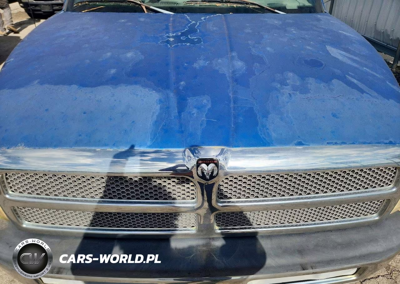 1999 Dodge Ram 1500 VIN:3B7HF13Z8XG200776 - 11