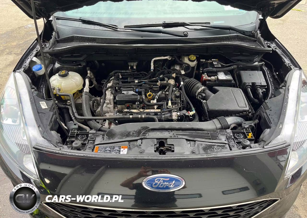 2021 Ford Escape Sel VIN:1FMCU9H60MUA51314 - 8
