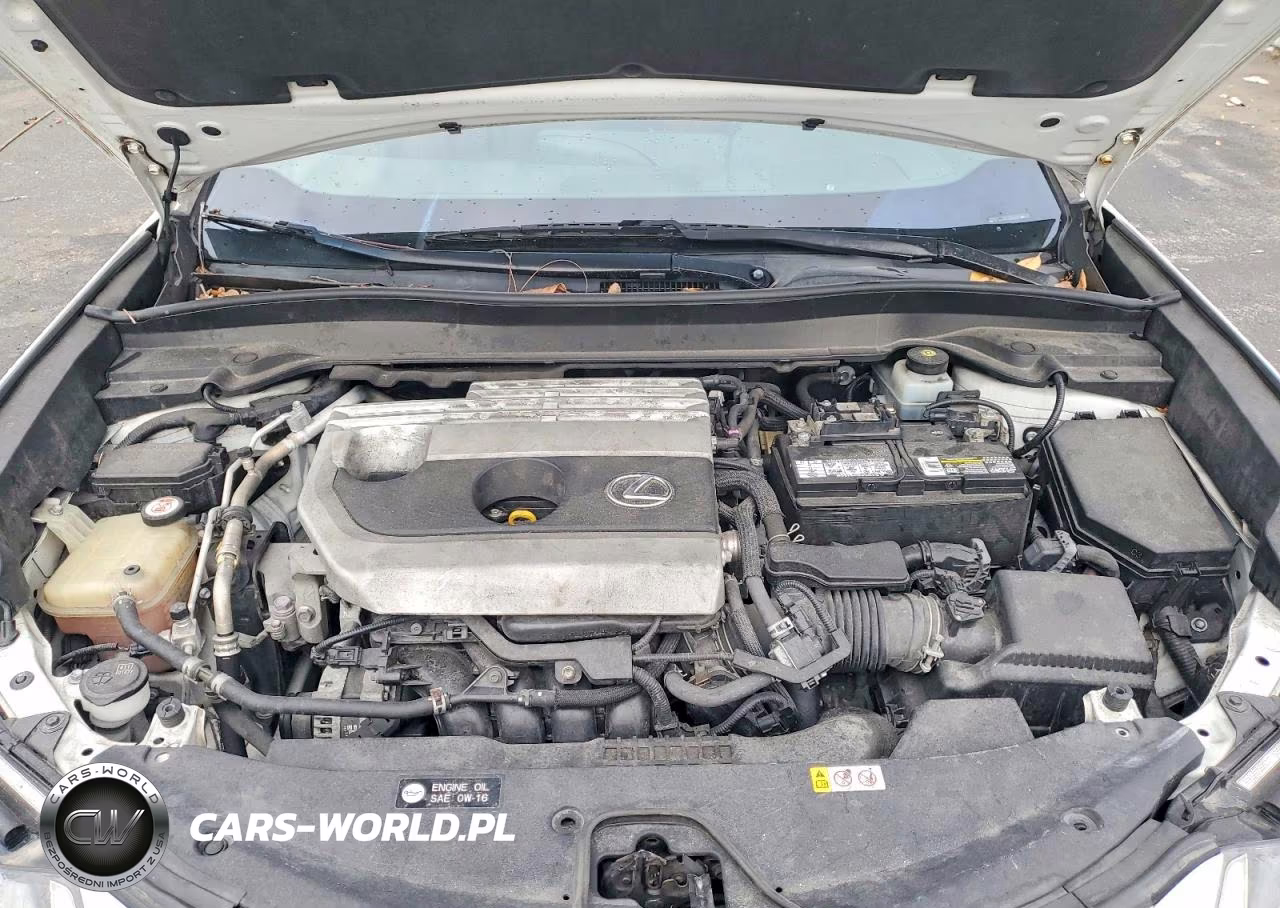 2019 Lexus Ux 200 F Sport VIN:JTHY3JBH1K2002767 - 12