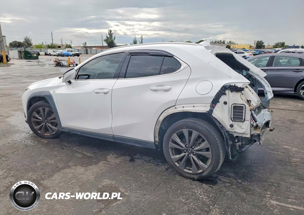 2019 Lexus Ux 200 F Sport VIN:JTHY3JBH1K2002767 - 2