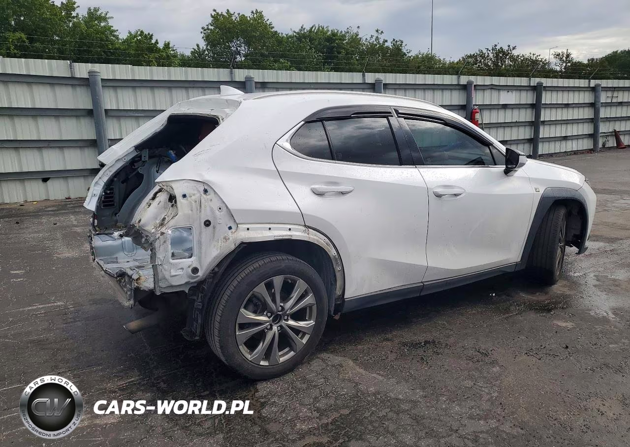 2019 Lexus Ux 200 F Sport VIN:JTHY3JBH1K2002767 - 3