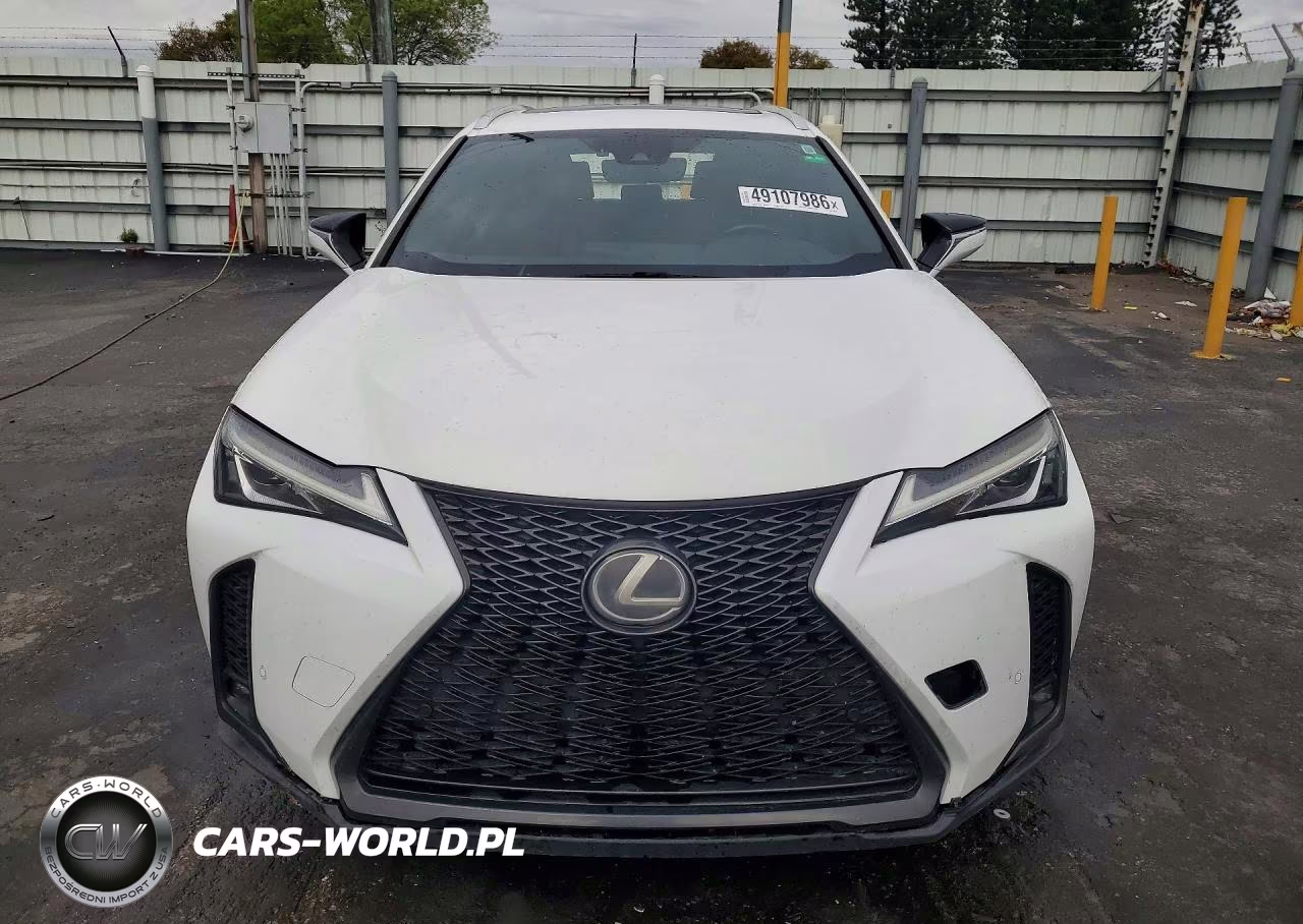 2019 Lexus Ux 200 F Sport VIN:JTHY3JBH1K2002767 - 5