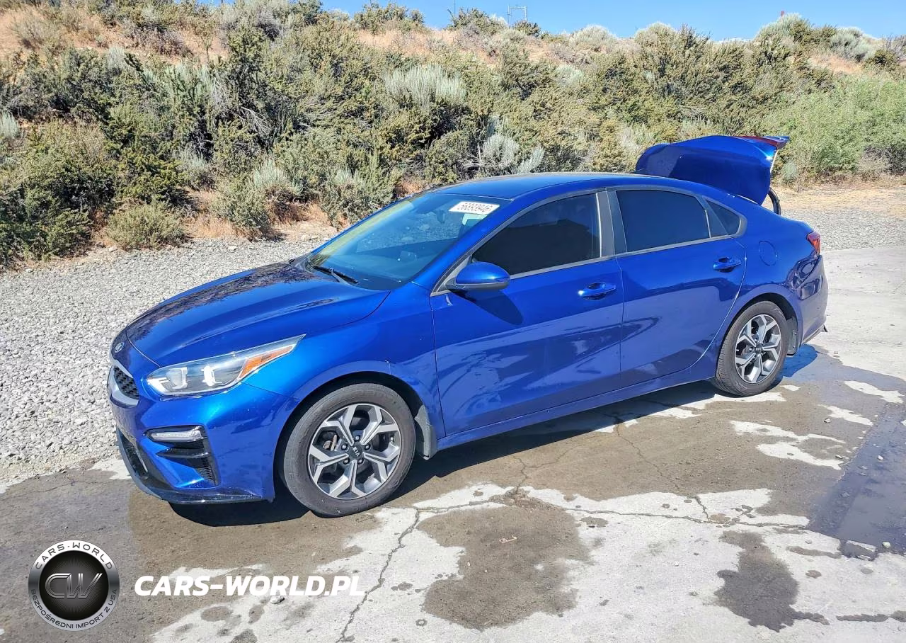 2019 Kia Forte Lxs