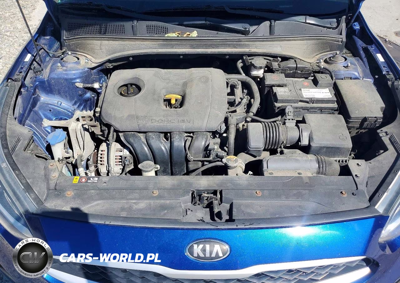 2019 Kia Forte Lxs VIN:3KPF24AD9KE083662 - 11