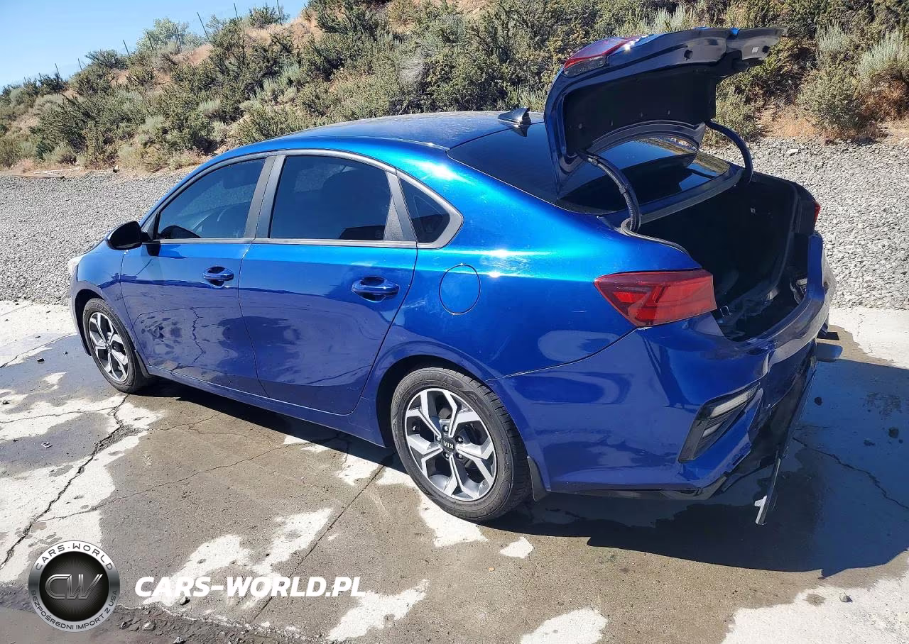 2019 Kia Forte Lxs VIN:3KPF24AD9KE083662 - 2