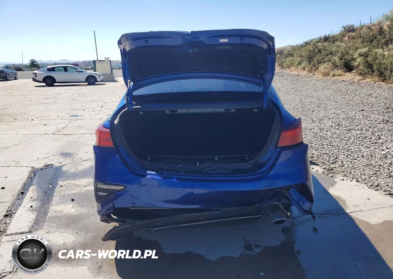 2019 Kia Forte Lxs VIN:3KPF24AD9KE083662 - 6