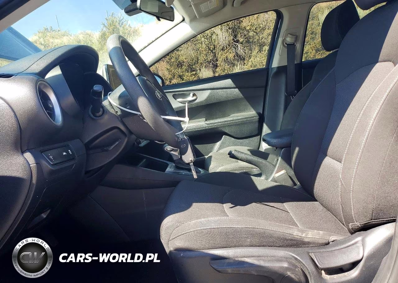 2019 Kia Forte Lxs VIN:3KPF24AD9KE083662 - 7
