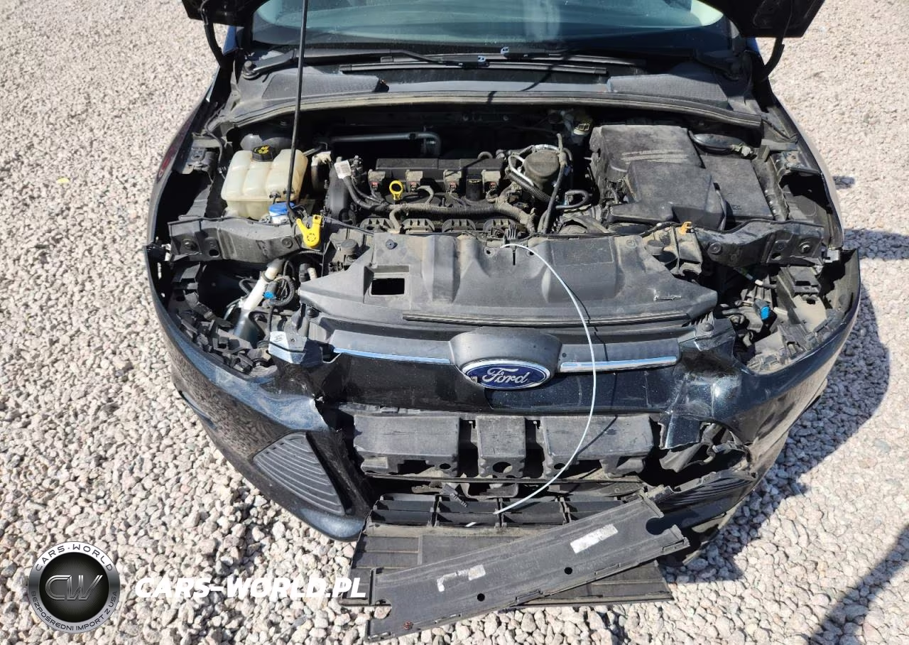 2014 Ford Focus Se VIN:1FADP3F25EL396803 - 11