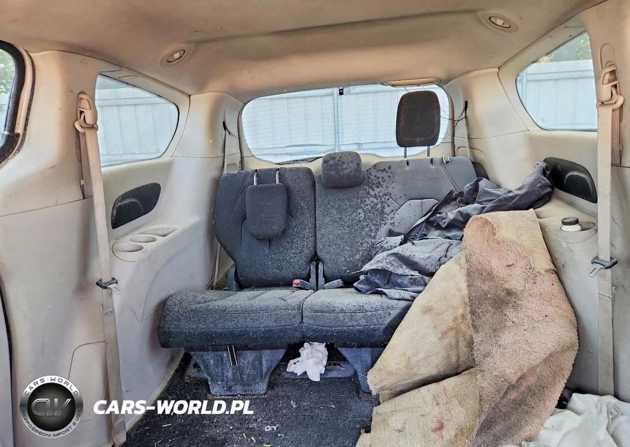 2019 Chrysler Pacifica L VIN:2C4RC1AG1KR531782 - 10