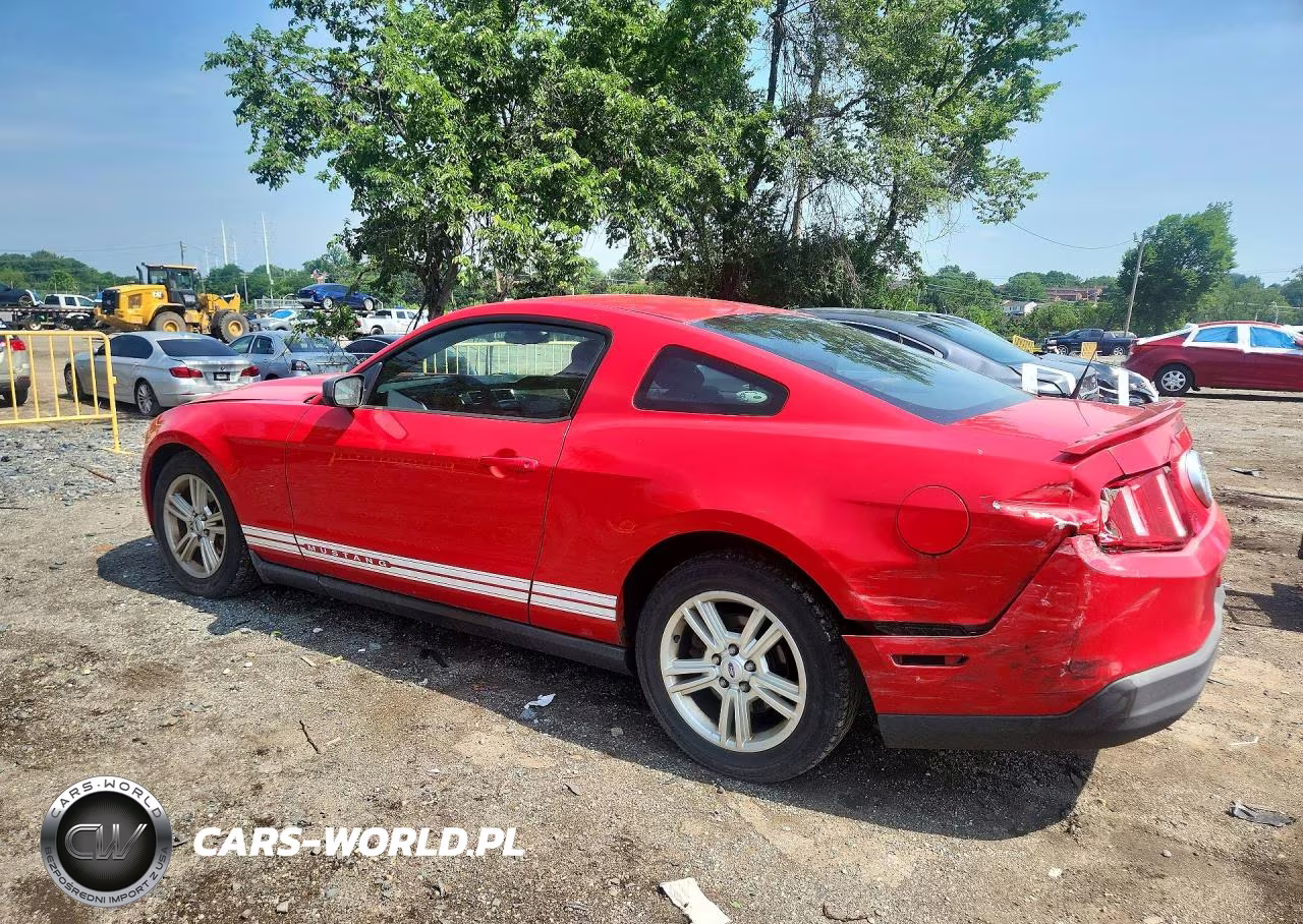 2010 Ford Mustang VIN:1ZVBP8AN3A5176006 - 2