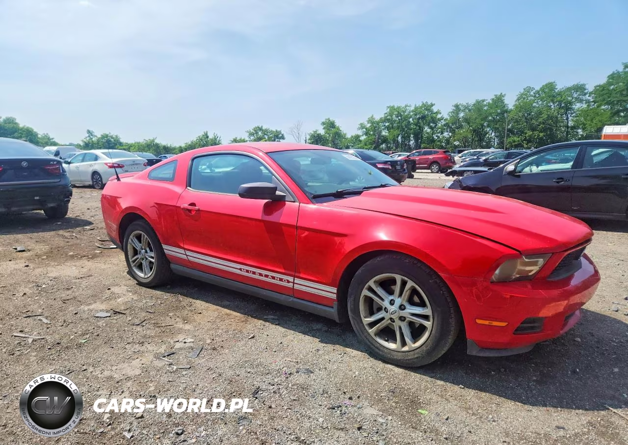 2010 Ford Mustang VIN:1ZVBP8AN3A5176006 - 4