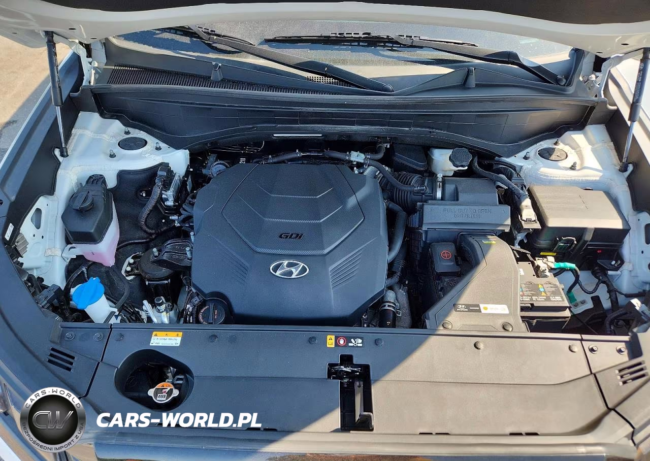2023 Hyundai Palisade Sel Premium VIN:KM8R44GE1PU610492 - 12
