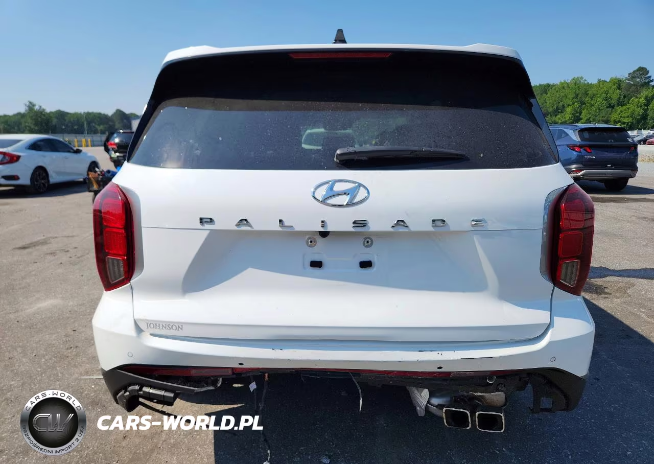 2023 Hyundai Palisade Sel Premium VIN:KM8R44GE1PU610492 - 6