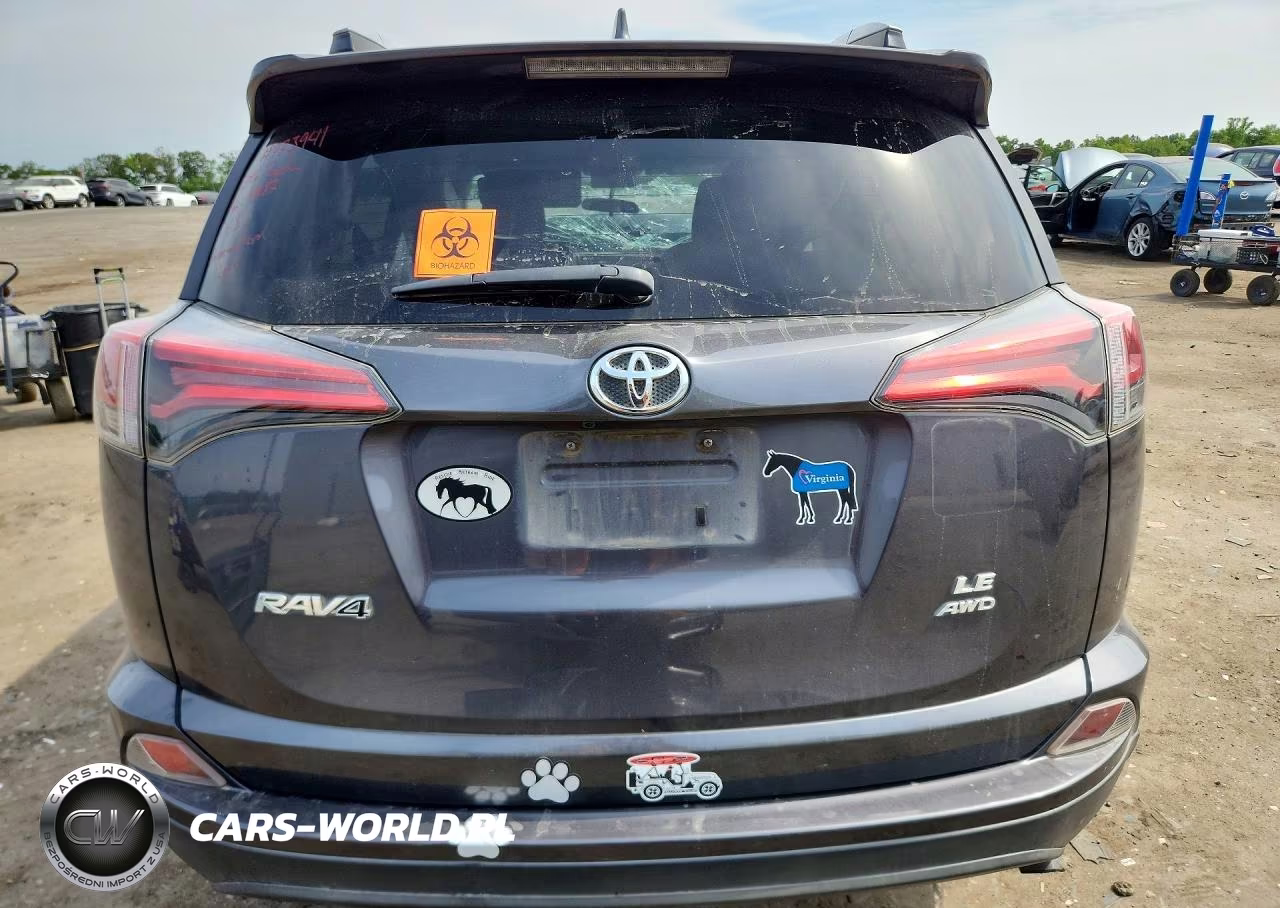 2016 Toyota Rav4 Le VIN:2T3BFREV3GW448187 - 6