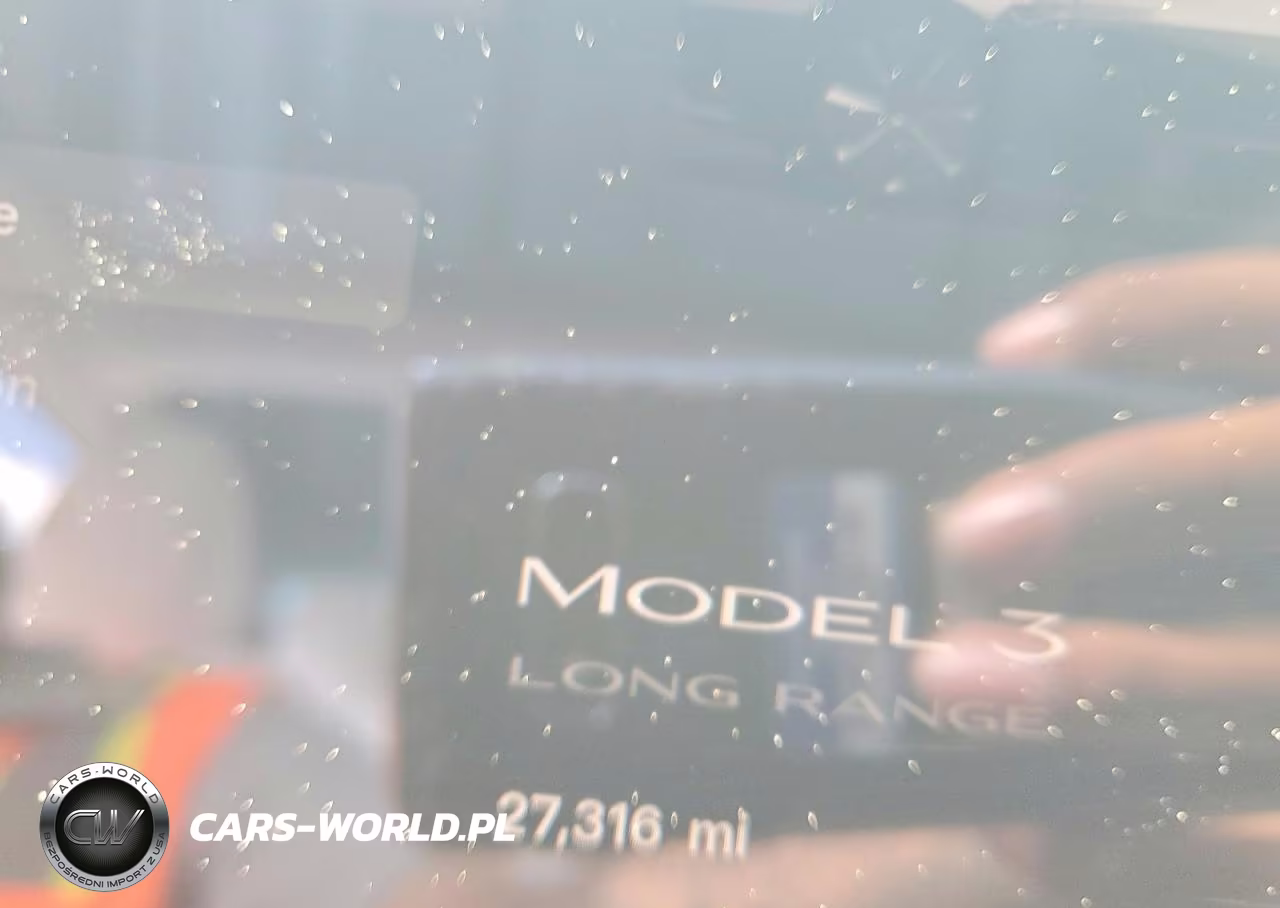 2025 Tesla Model 3 VIN:5YJ3E1EA5SF967911 - 9