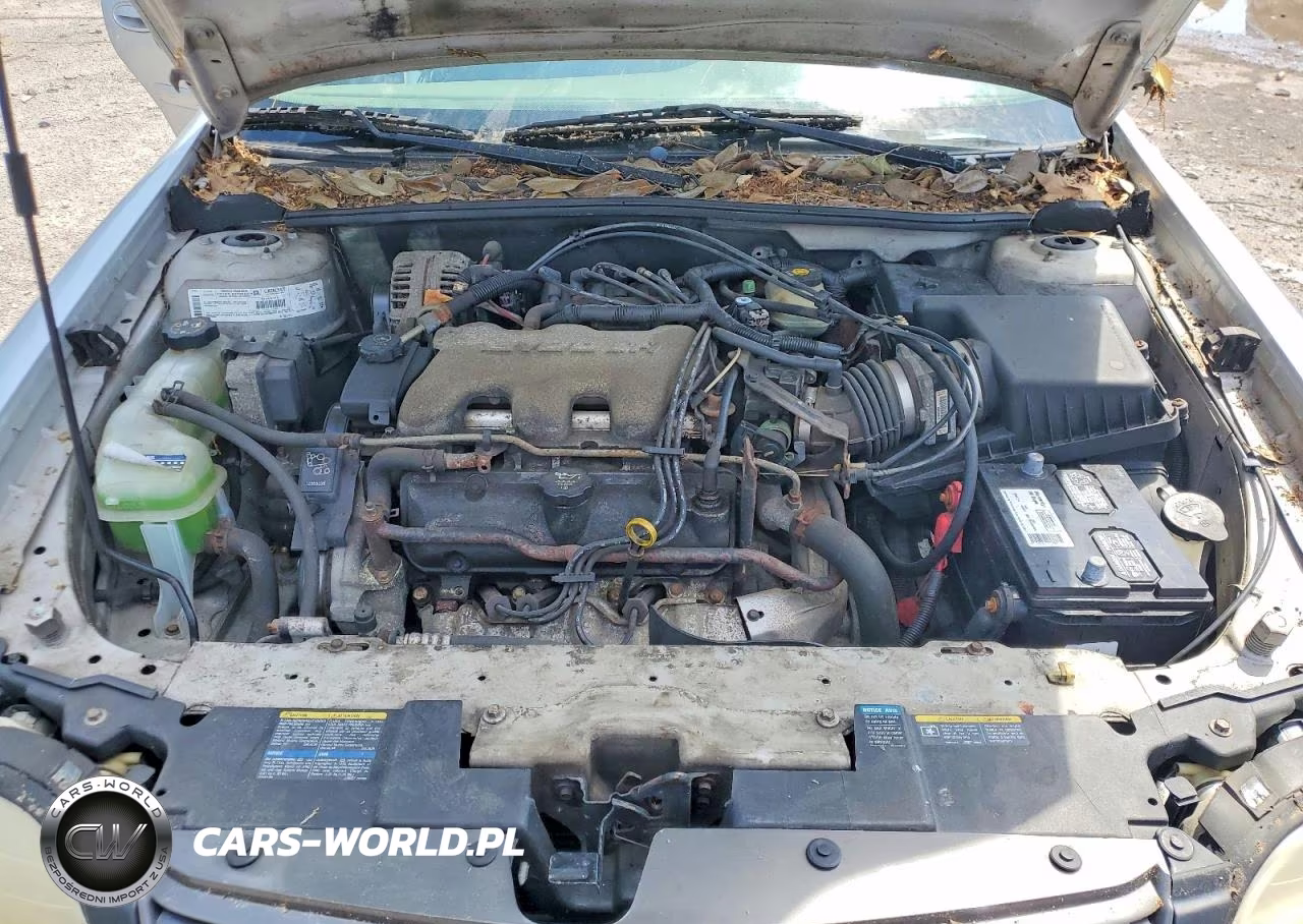 2003 Chevrolet Malibu L VIN:1G1ND52J73M723654 - 11
