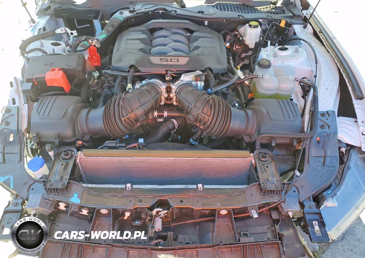 2026 Ford Mustang Gt VIN:1FA6P8CF4T5404856 - 11