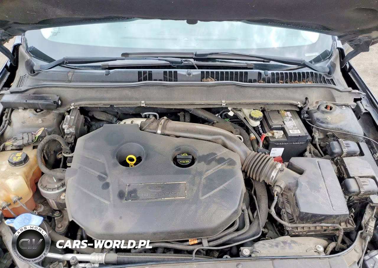 2014 Ford Fusion Titanium VIN:3FA6P0K94ER183319 - 11