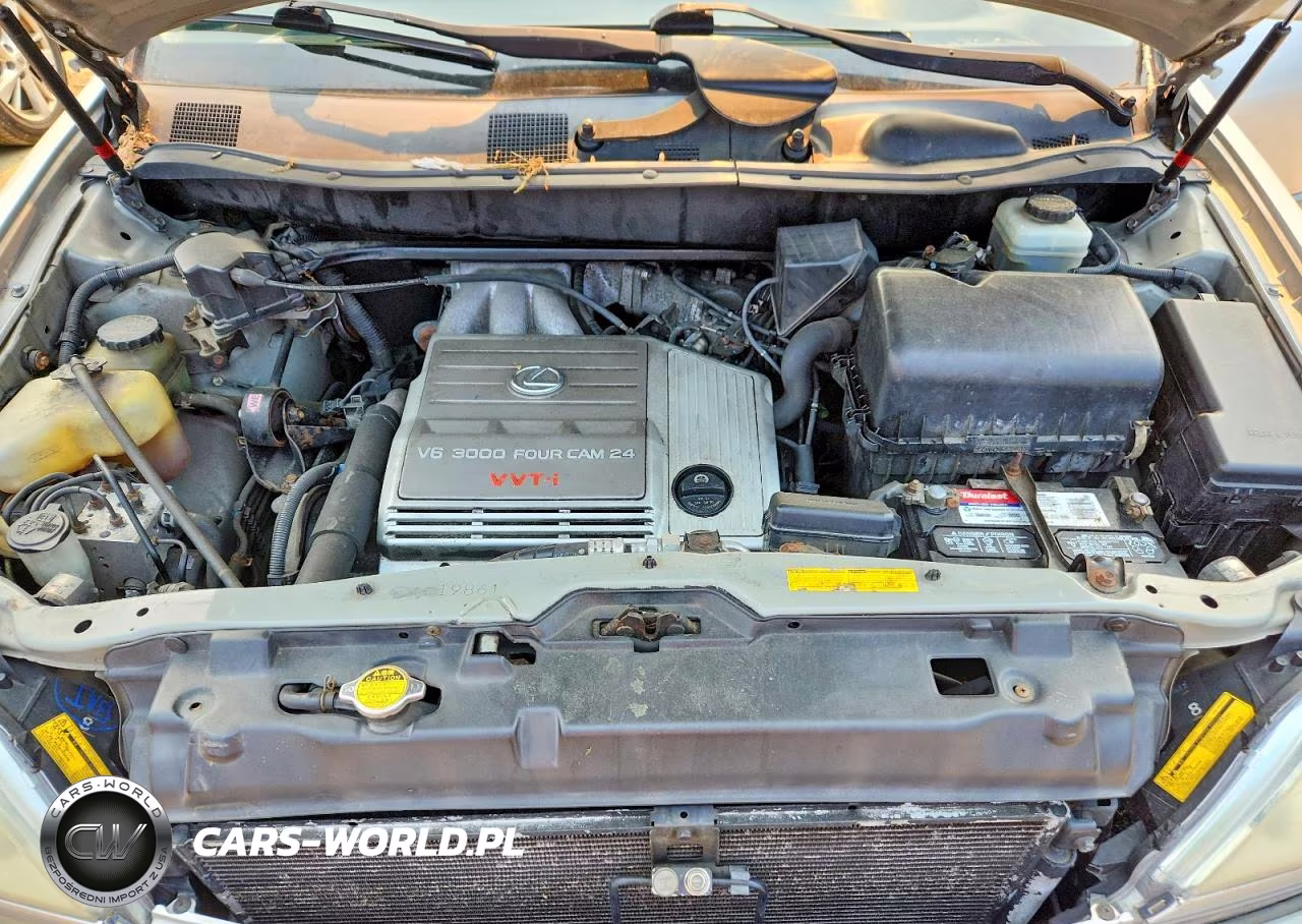 2001 Lexus Rx 300 VIN:JTJHF10U310232164 - 12