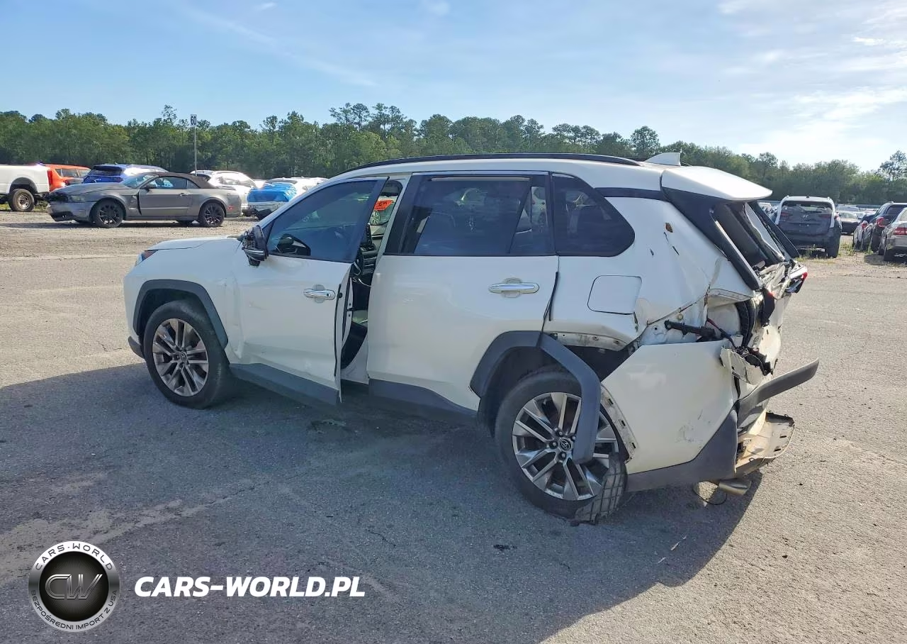 2019 Toyota Rav4 Limited VIN:JTMN1RFV7KD521559 - 2