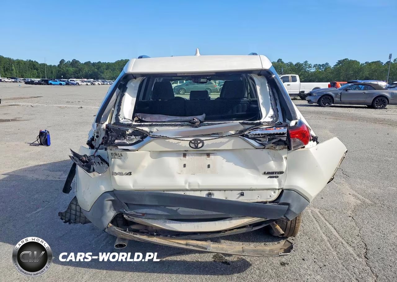 2019 Toyota Rav4 Limited VIN:JTMN1RFV7KD521559 - 6