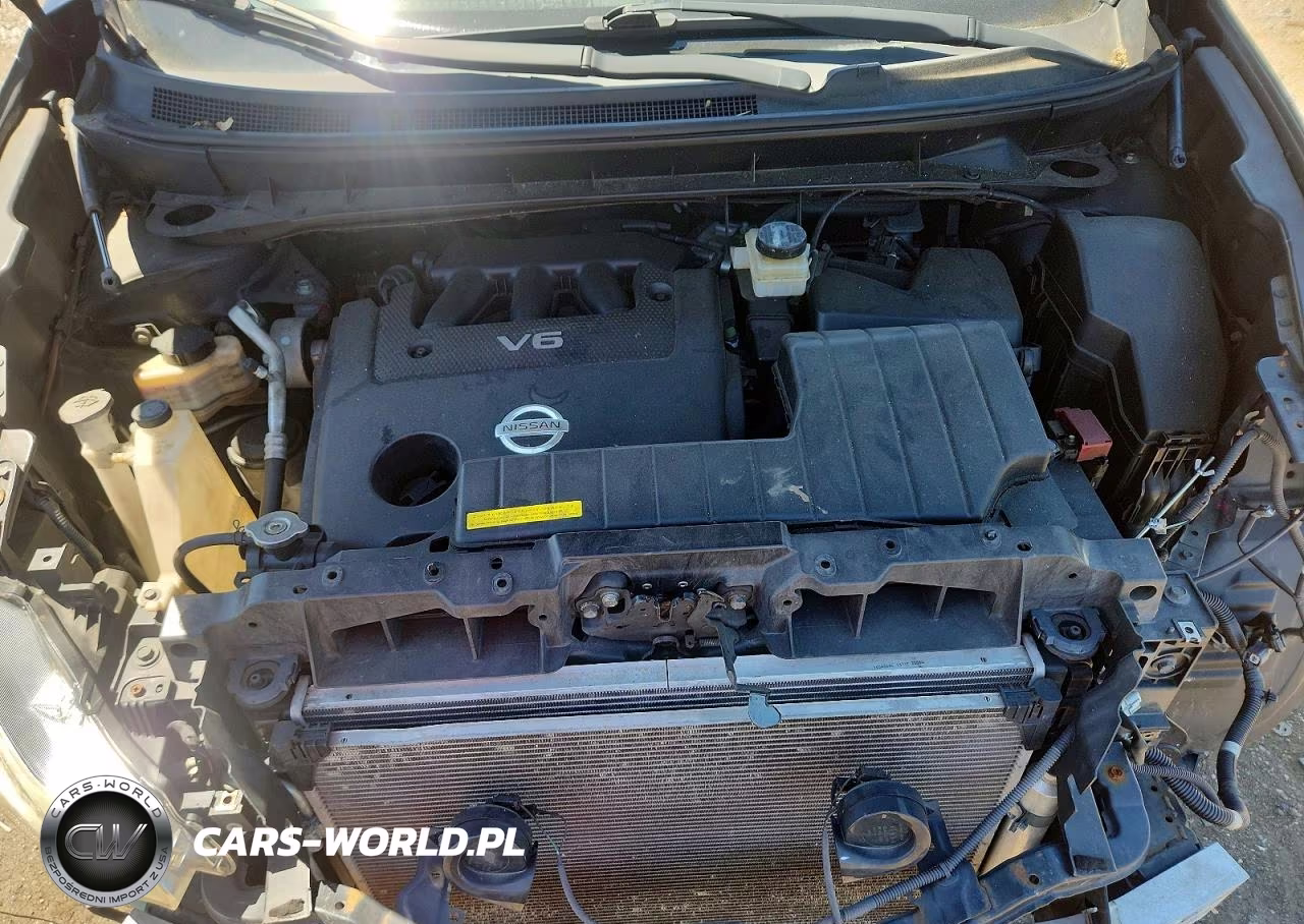 2009 Nissan Murano S VIN:JN8AZ18W29W127632 - 11