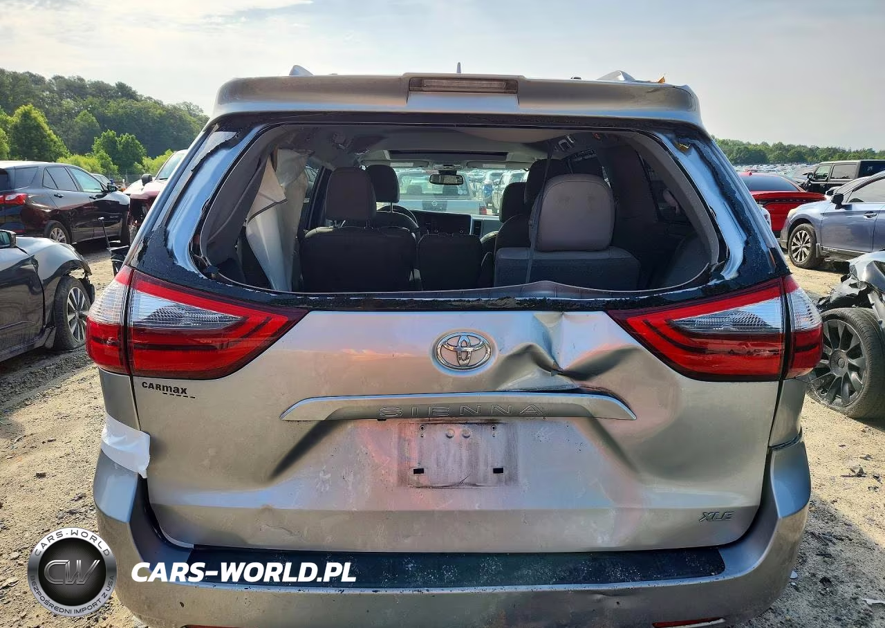 2020 Toyota Sienna Xle 8-Passenger VIN:5TDYZ3DC5LS050070 - 6