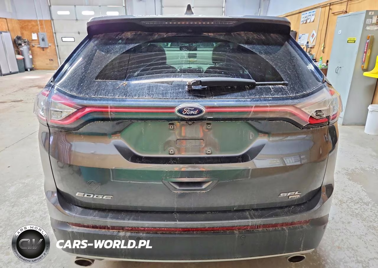 2016 Ford Edge Sel VIN:2FMPK4J81GBC03892 - 6