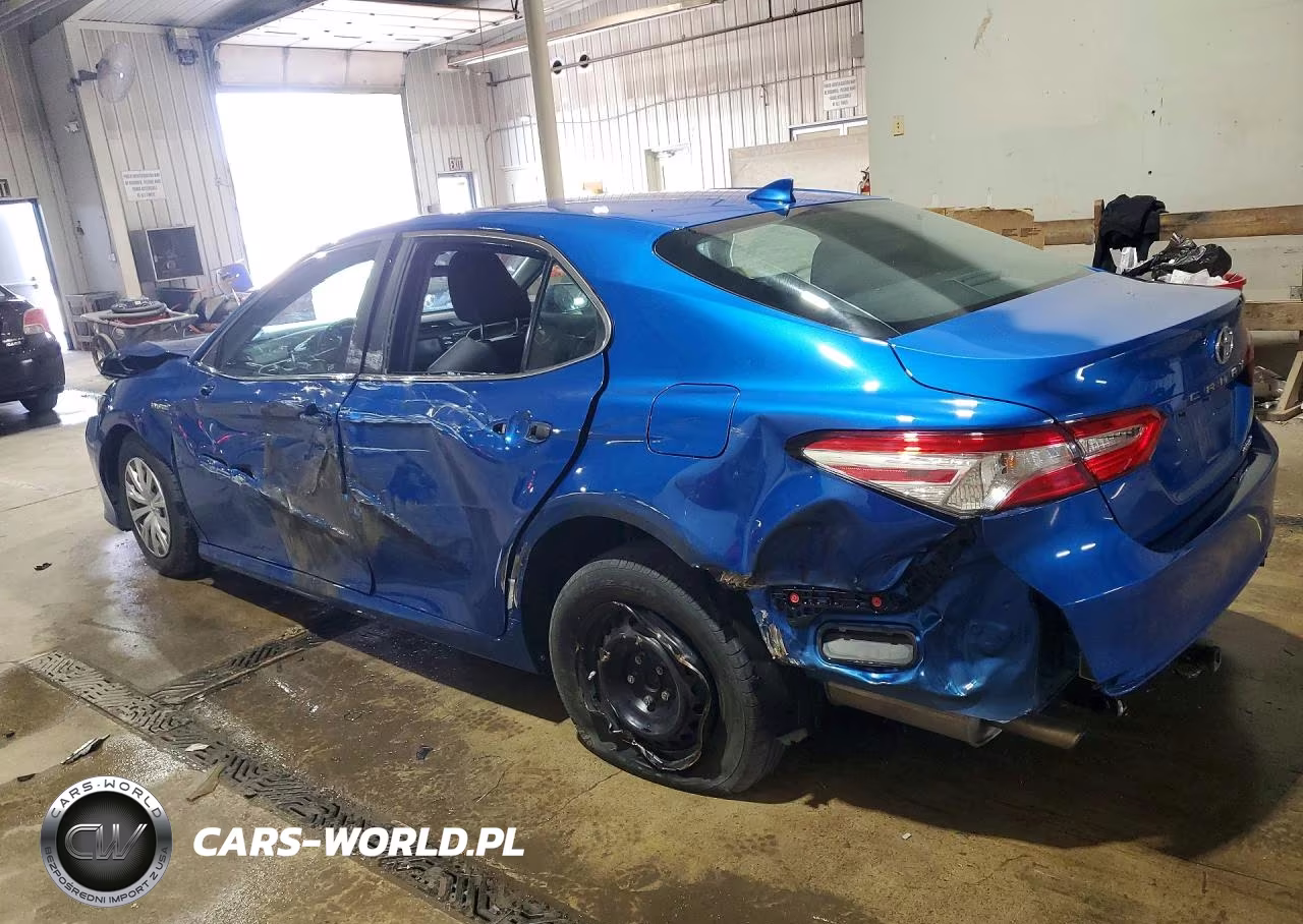 2020 Toyota Camry Le VIN:4T1C31AKXLU013244 - 2