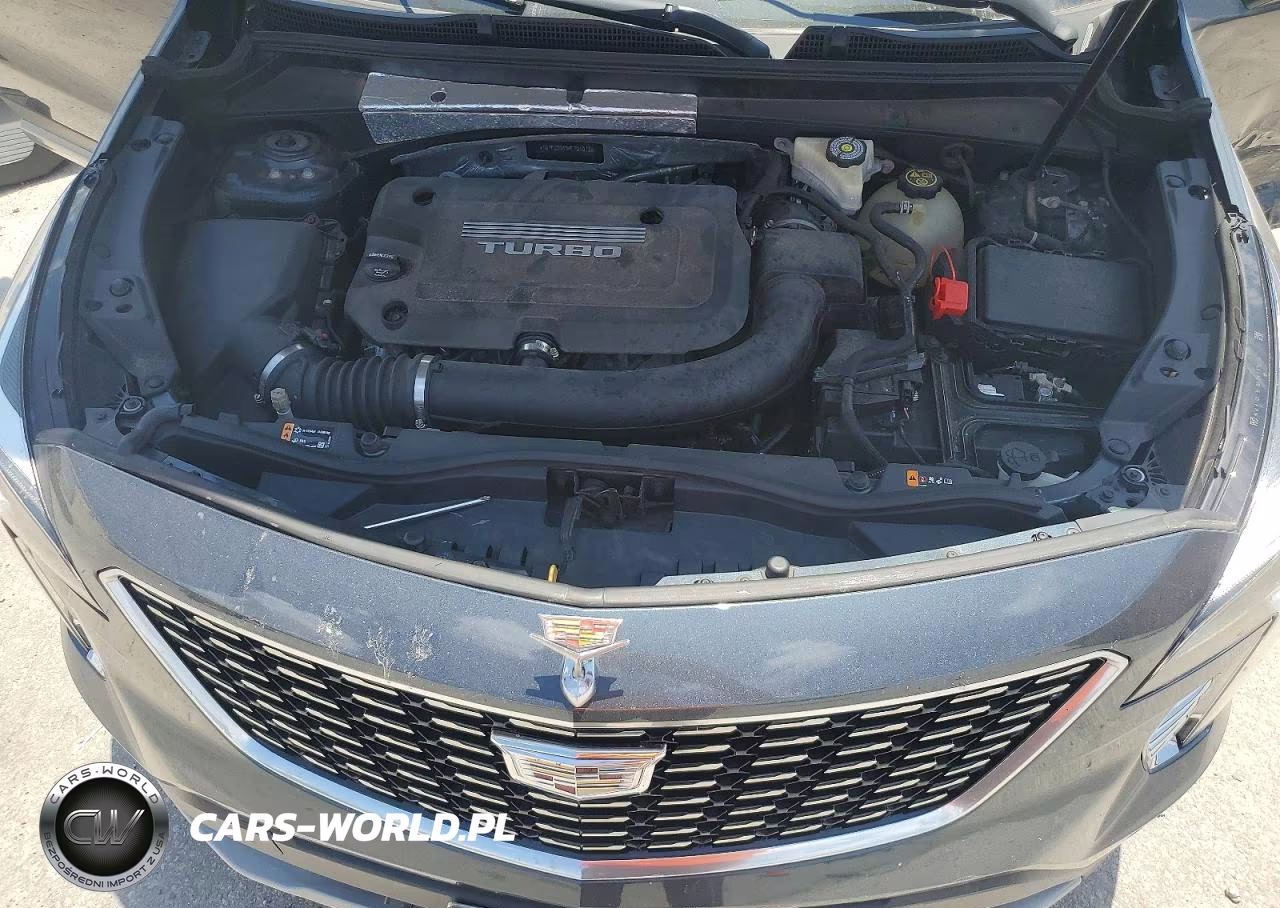2019 Cadillac Xt4 Premium Luxury VIN:1GYFZDR43KF101072 - 12