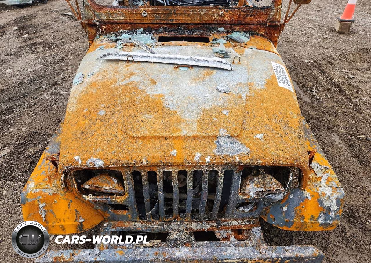 1991 Jeep Wrangler - Yj VIN:2J4FY29S1MJ120140 - 12