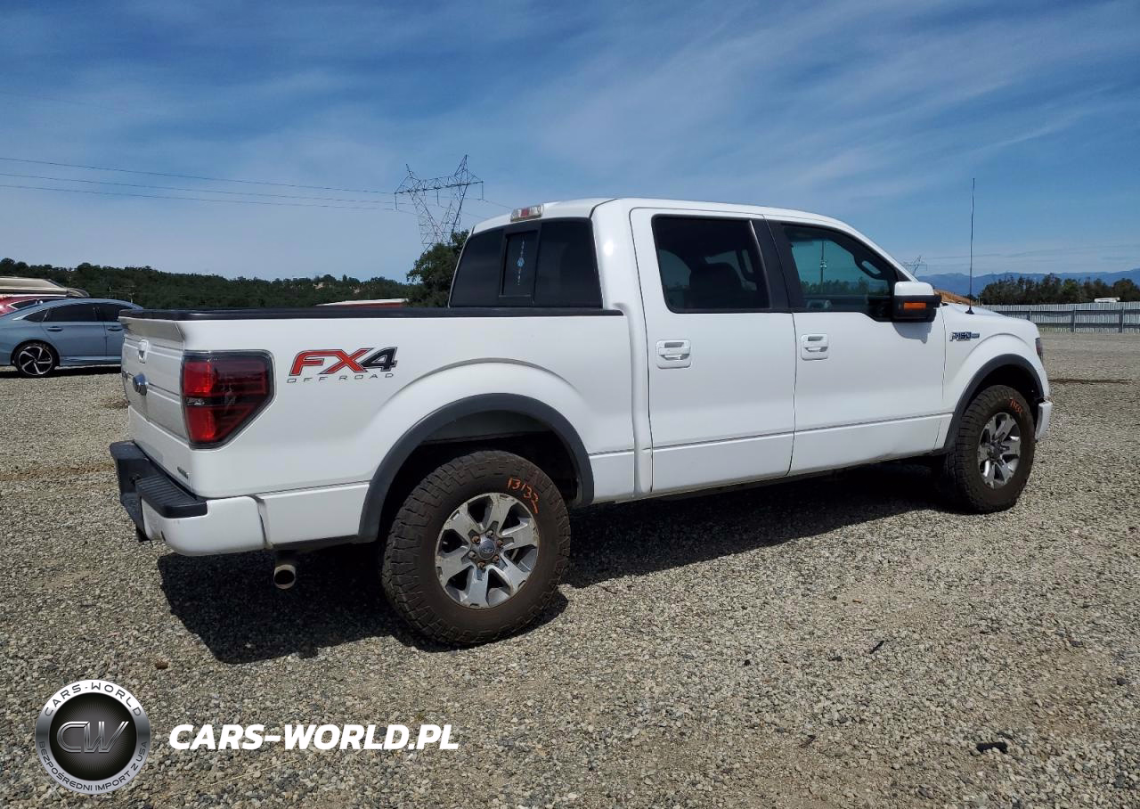 2013 Ford F150 Supercrew VIN:1FTFW1EF3DFA06258 - 3