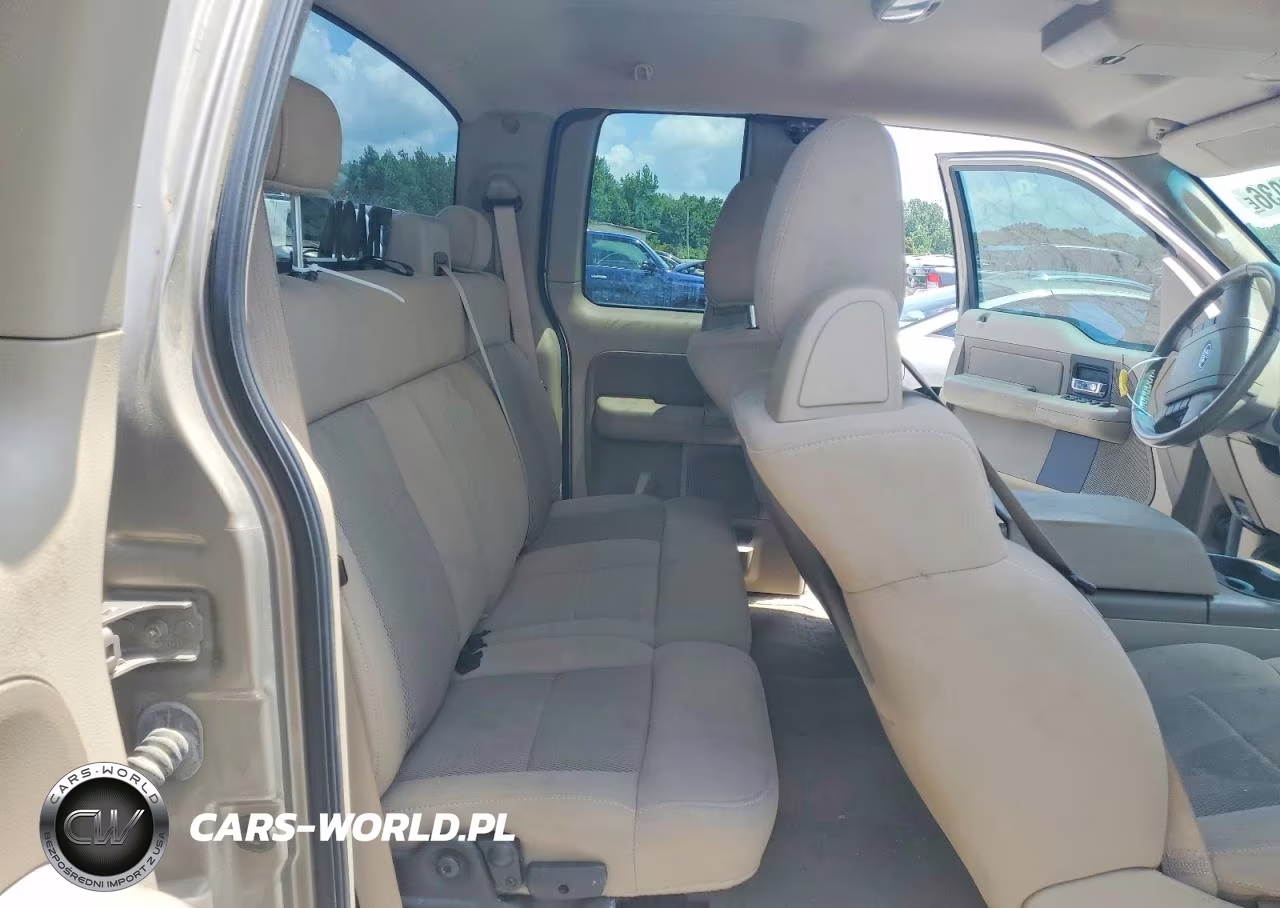 2006 Ford F150 VIN:1FTRX12W46NA82241 - 10
