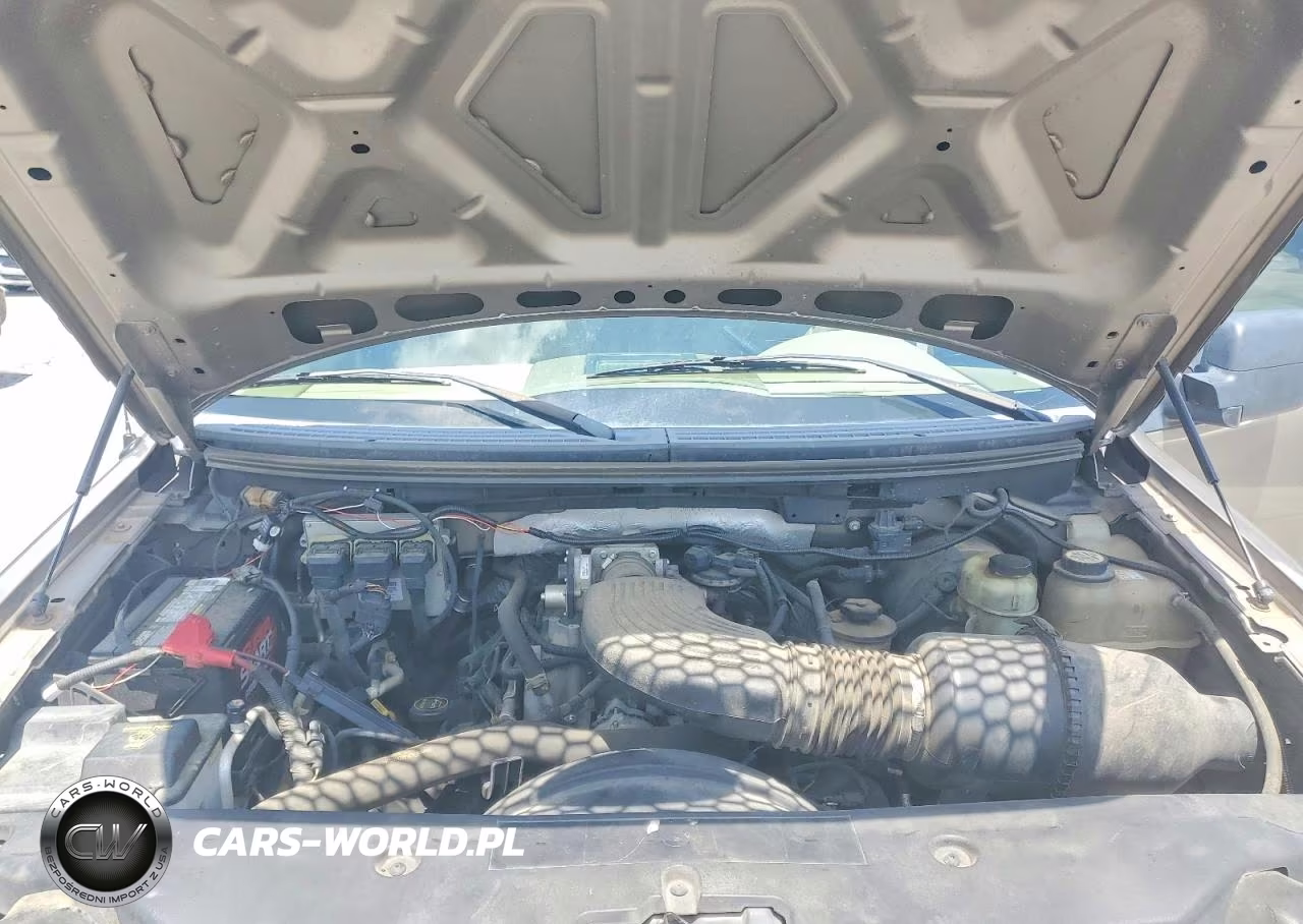 2006 Ford F150 VIN:1FTRX12W46NA82241 - 11