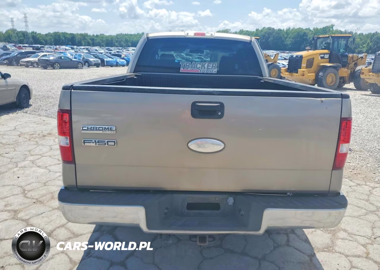 2006 Ford F150 VIN:1FTRX12W46NA82241 - 6
