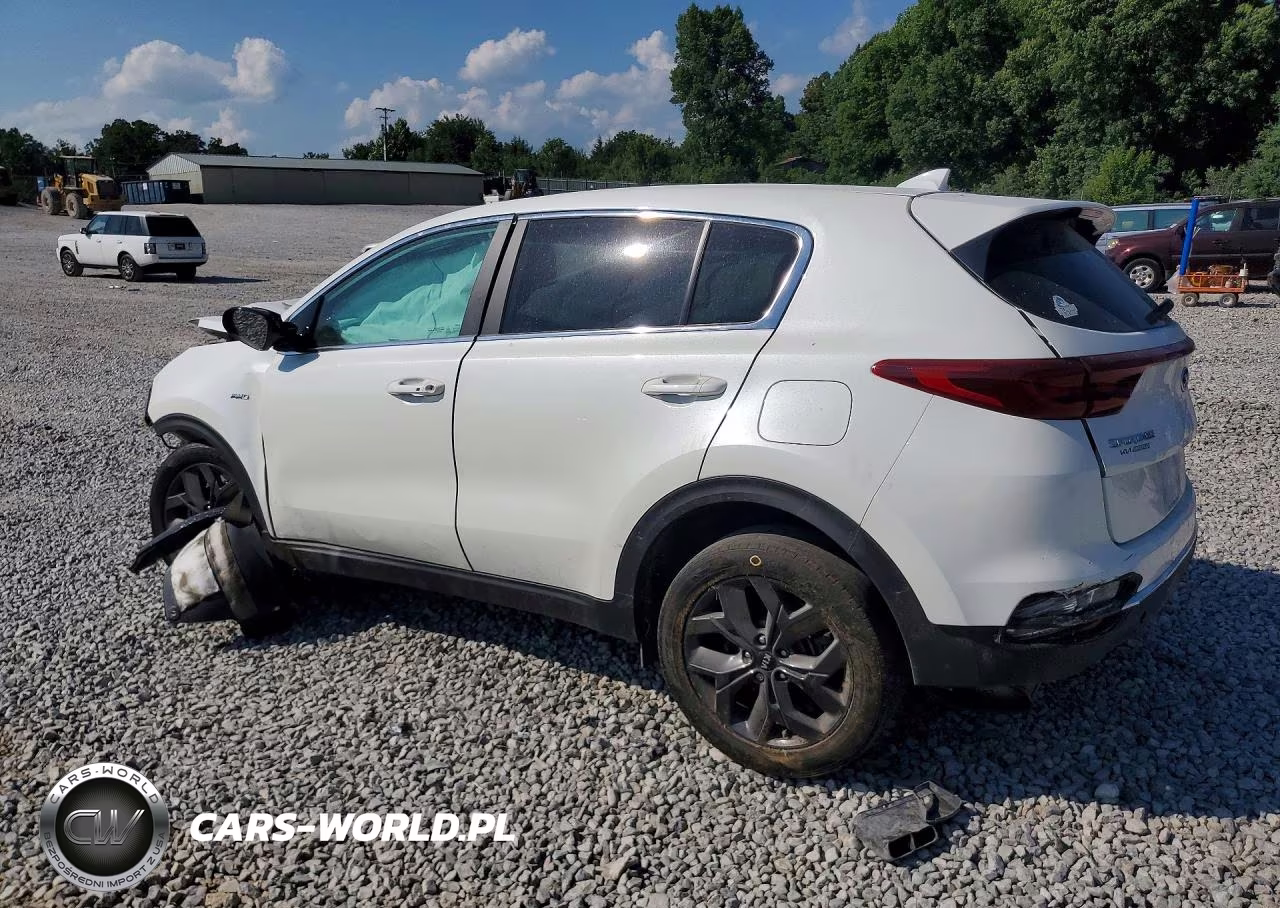 2022 Kia Sportage Lx VIN:KNDPMCAC7N7023996 - 2