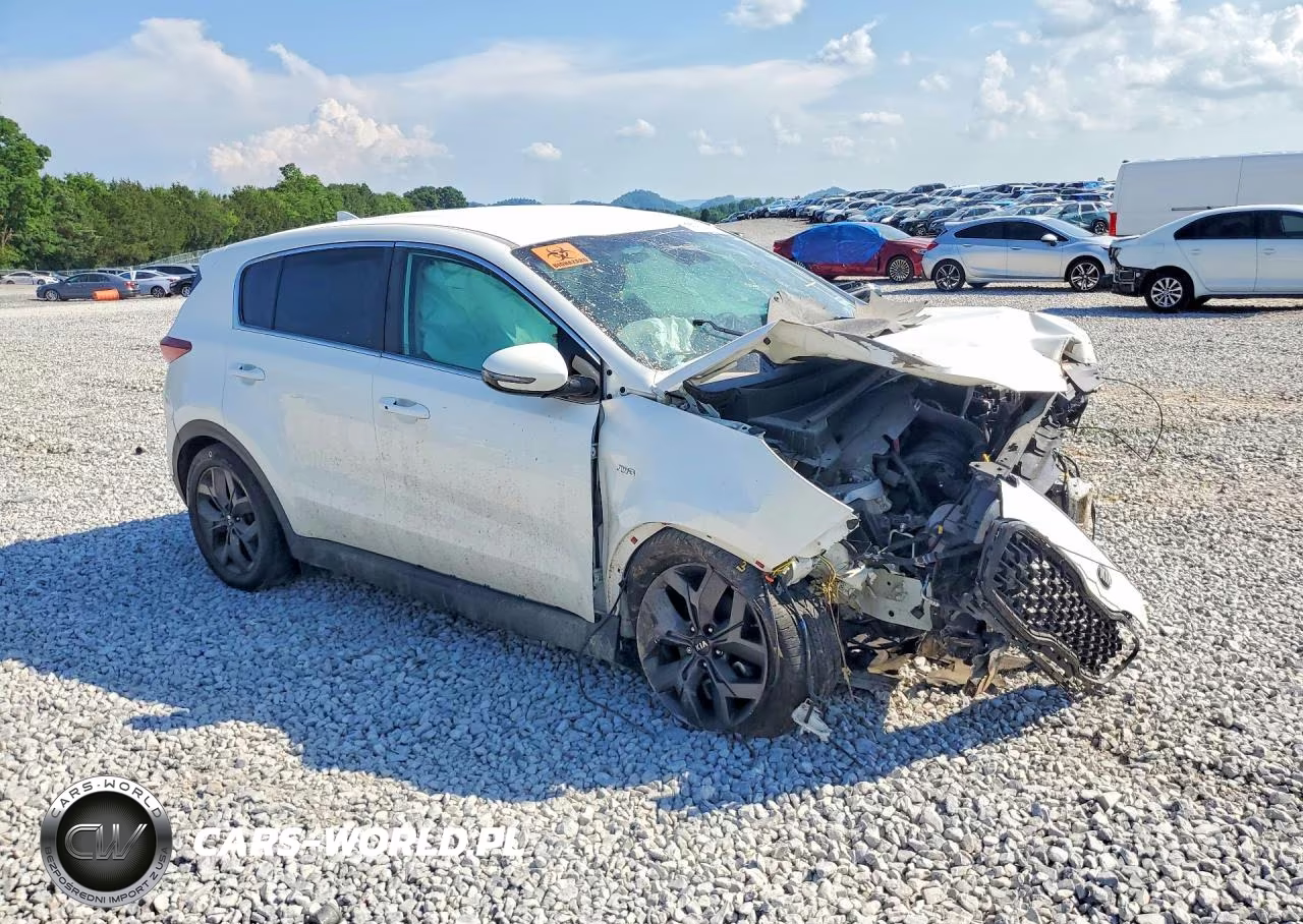 2022 Kia Sportage Lx VIN:KNDPMCAC7N7023996 - 4