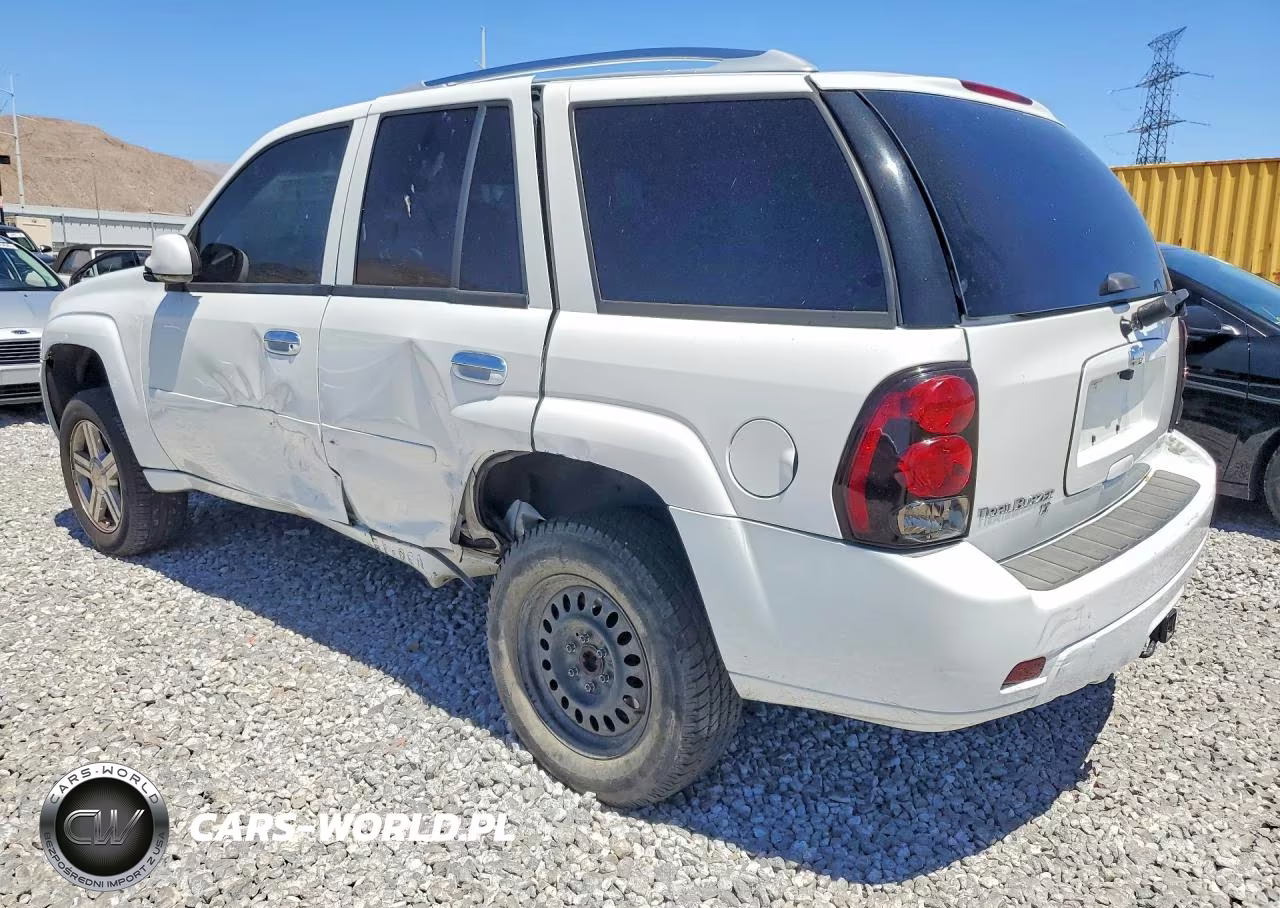 2009 Chevrolet Trailblazer Lt VIN:1GNDS33S292115394 - 2