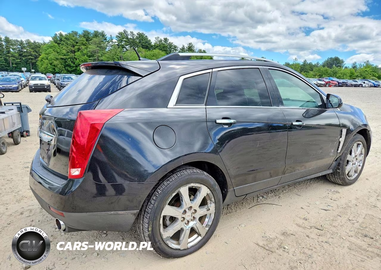 2010 Cadillac Srx Performance Collection VIN:3GYFNEEY1AS541165 - 3