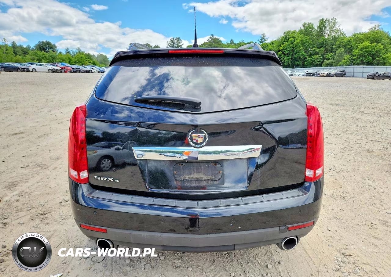 2010 Cadillac Srx Performance Collection VIN:3GYFNEEY1AS541165 - 6