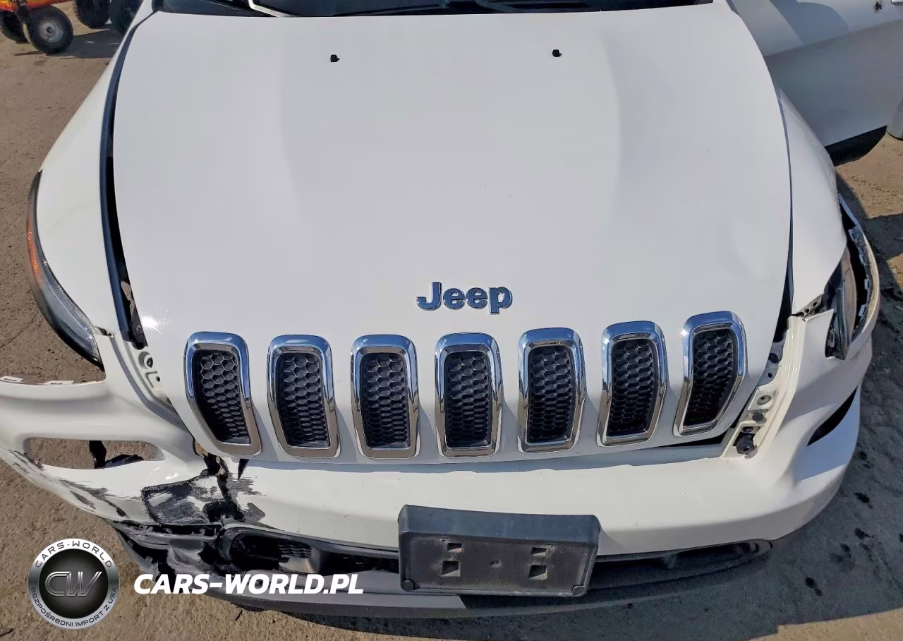 2014 Jeep Cherokee Latitude VIN:1C4PJMCSXEW150847 - 12