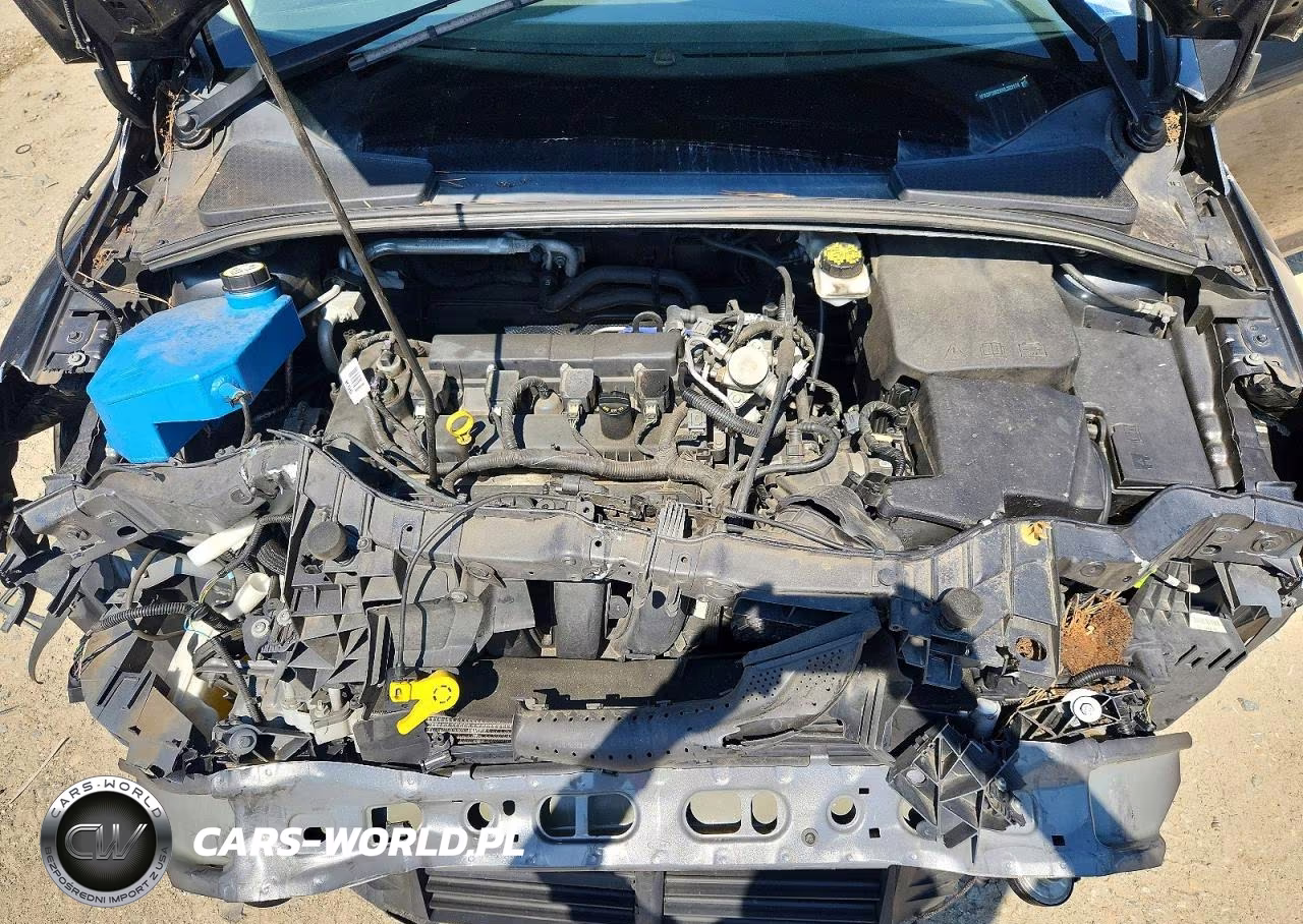 2017 Ford Focus Sel VIN:1FADP3M2XHL323174 - 11