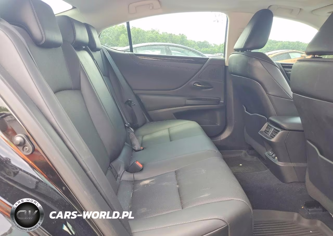2021 Lexus Es 350 Base VIN:58ADZ1B10MU110925 - 10
