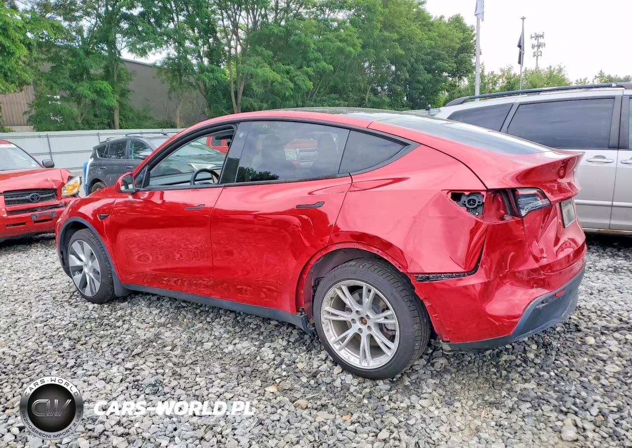 2023 Tesla Model Y VIN:7SAYGDEE6PF674789 - 2