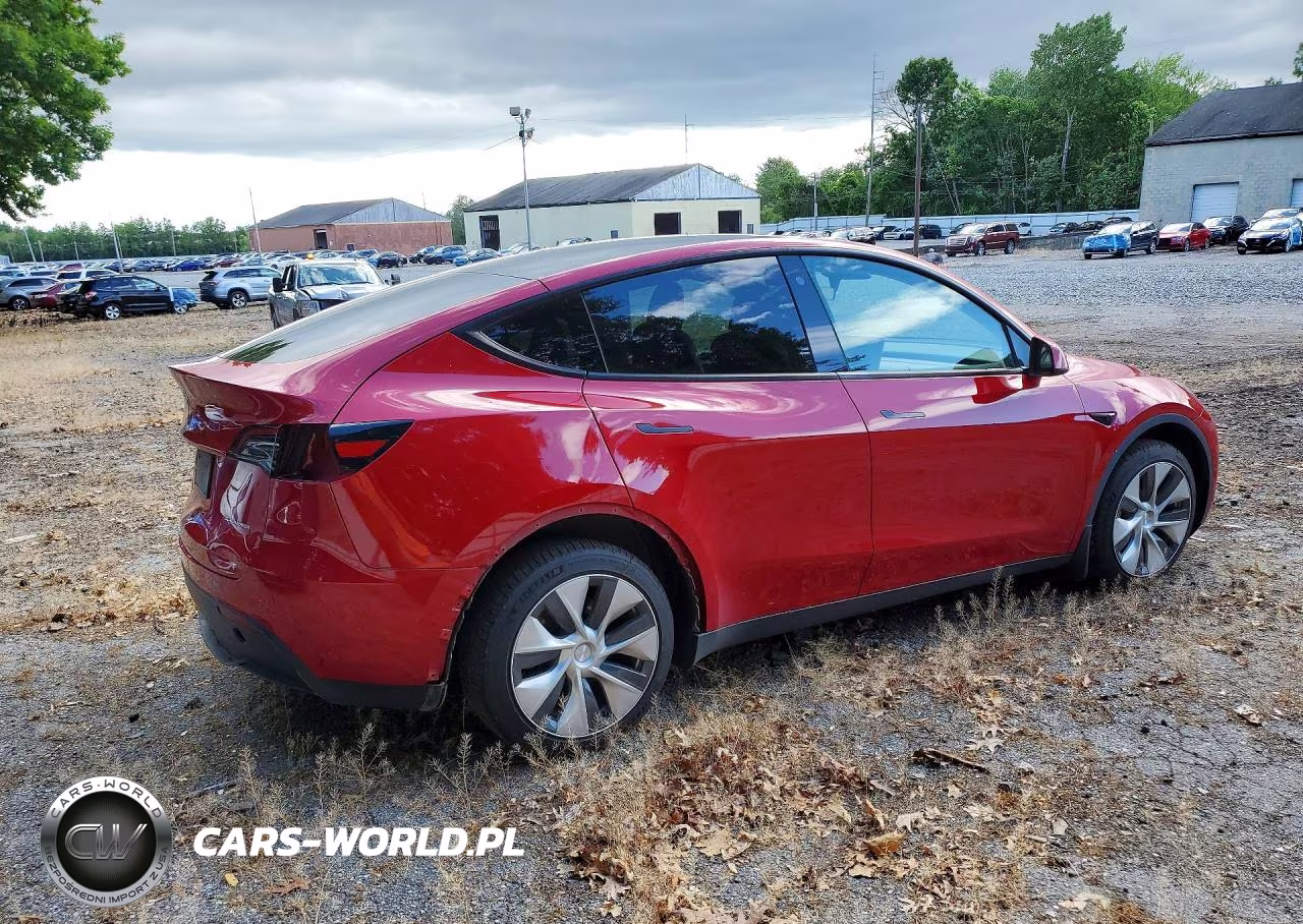 2023 Tesla Model Y VIN:7SAYGDEE6PF674789 - 3