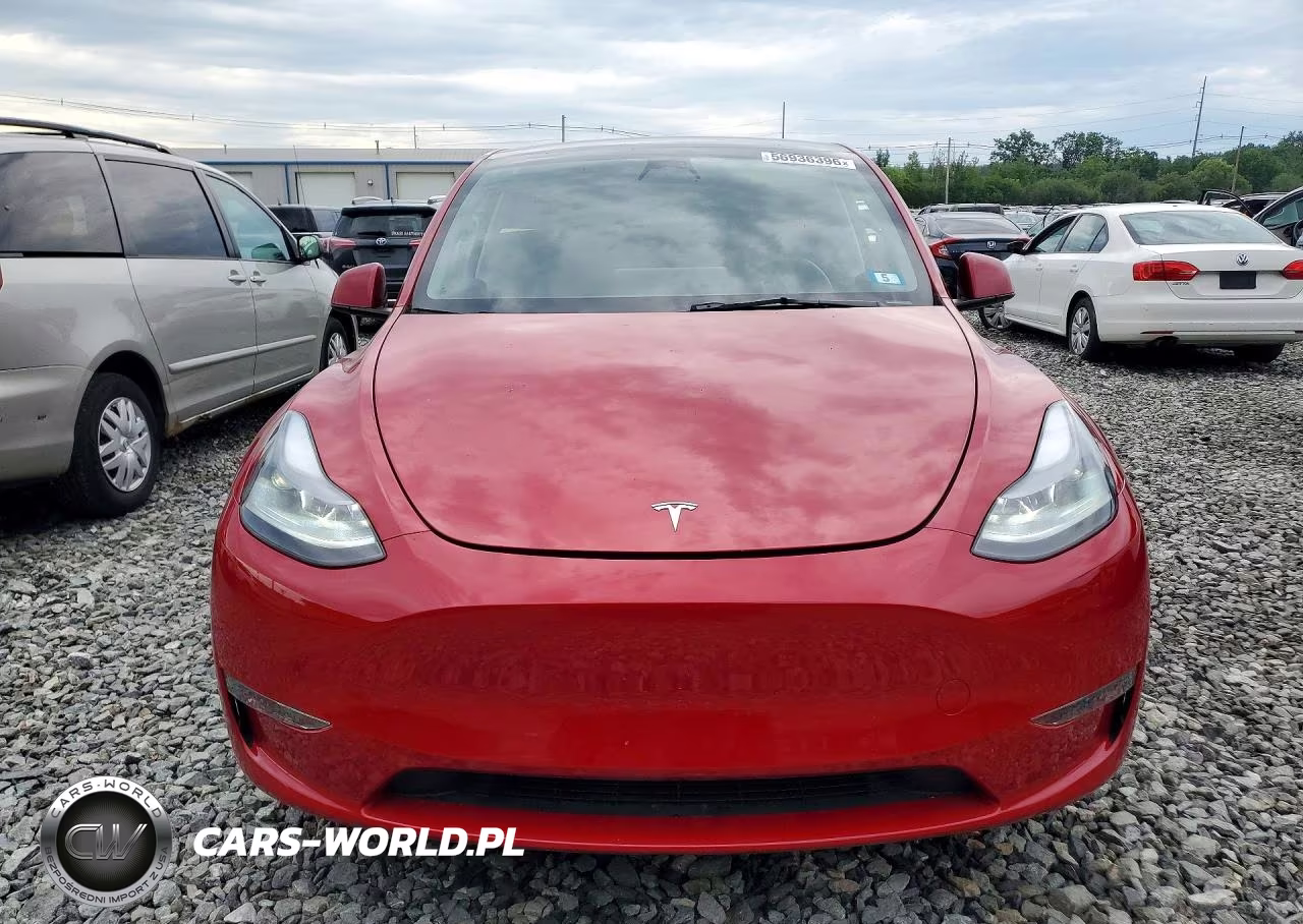 2023 Tesla Model Y VIN:7SAYGDEE6PF674789 - 5